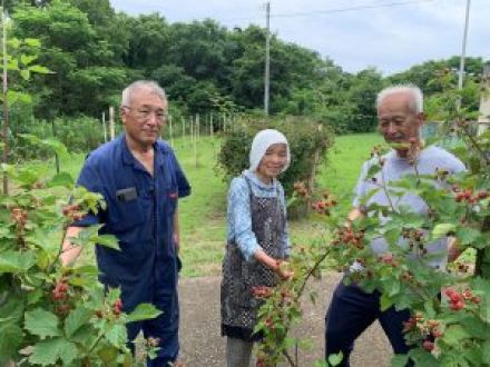 Vol.66 手島　瀬戸内の小さな島の小さな農園