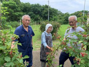 Vol.66 手島　瀬戸内の小さな島の小さな農園