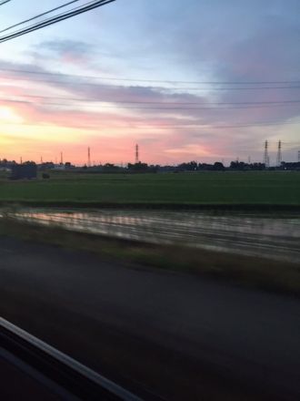 6月28日（水）今日の一コマ