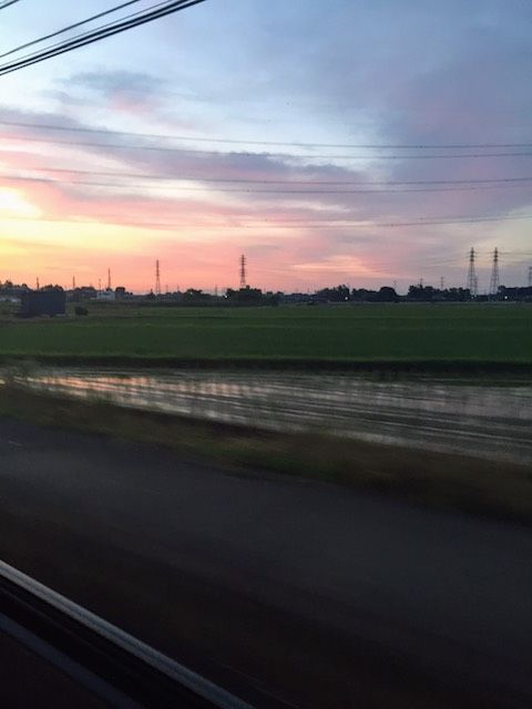 6月28日（水）今日の一コマ