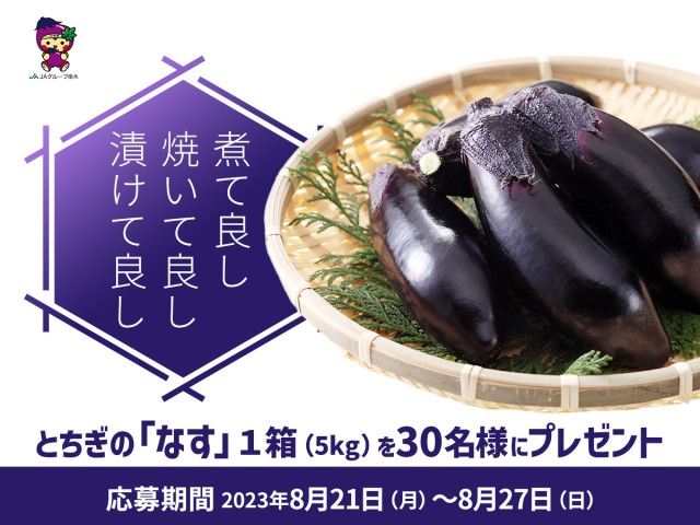 フォロー＆リポストしてくれた方の中から抽選で30名様に、栃木県産のおいしいなす?をプレゼント！