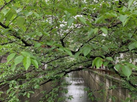 4月16日(金) 今日の1コマ♪