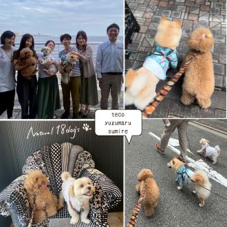 「るるぶ ペットとおでかけ首都圏発’２６」編集部さんおすすめ?  / ?クイズ「新幹線に乗ってみた」 テコ料金は?