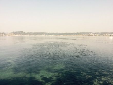 斉藤リョーツのいただき！おつかれさまでーす！