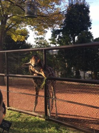 3月15日(木)今日の1コマ 
