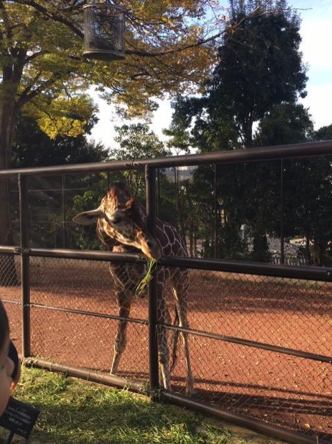 3月15日(木)今日の1コマ 