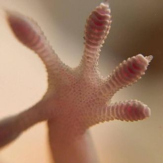 6月15日（水）担当：村上祐資