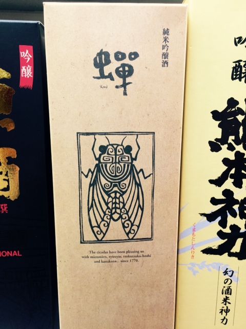 8月19日（水）担当：村上祐資