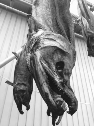 10月14日（水）担当：村上祐資