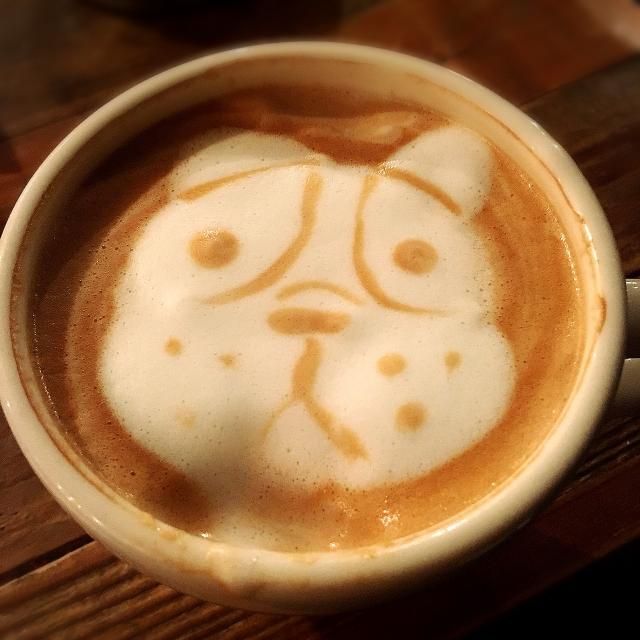 1月22日（月）今日の1コマ　