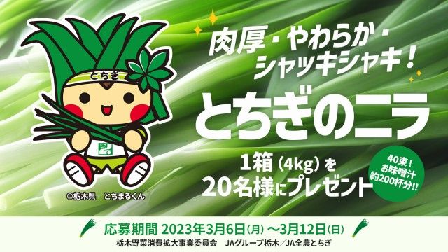フォロー＆リツイートしてくれた方の中から抽選で20名様に、栃木県産のおいしいニラをプレゼント！