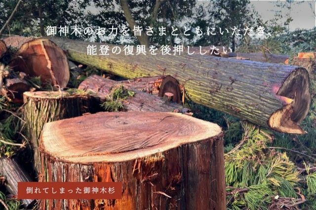『「倒木した樹齢の200年の御神木をお分けし、 酒垂神社の再建と、能登の復興へ！」』
