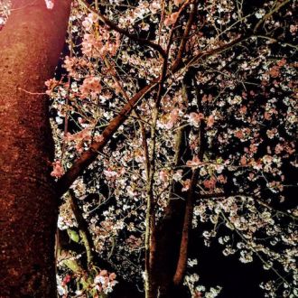4月5日(水)今日の一コマ