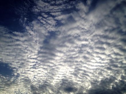 8月21日（金）今日の1コマ