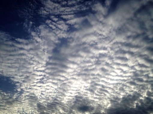 8月21日（金）今日の1コマ