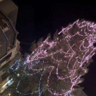 Chit Chat #103 (2024.12.20)