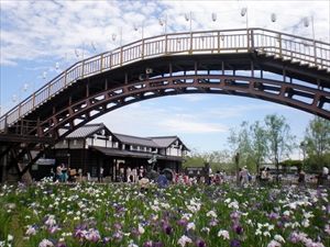 あやめ咲く水郷・潮来と鹿島の旅