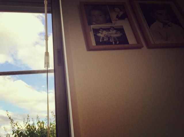 6月14日（水）今日の一コマ