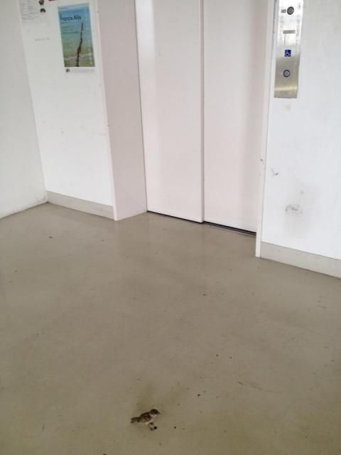 7月10日（火）今日の1コマ