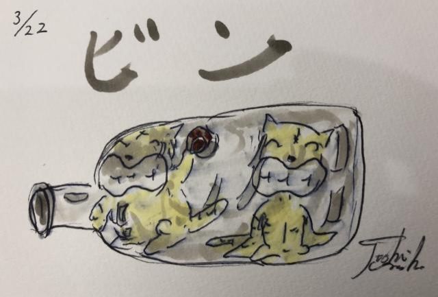 ビンビン。。。