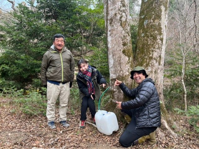 2024/2/4　カエデの樹液で作るメイプルシロップ体験！