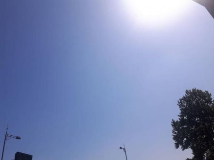 5月14日（月）  今日のメニューは？