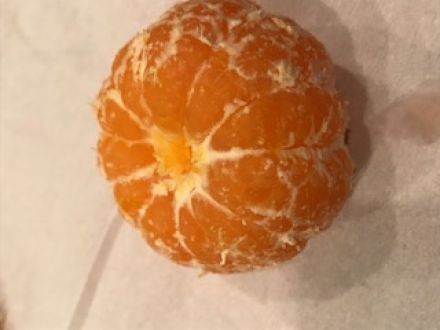 №１１８　　そろそろ…「ダイエット」！？