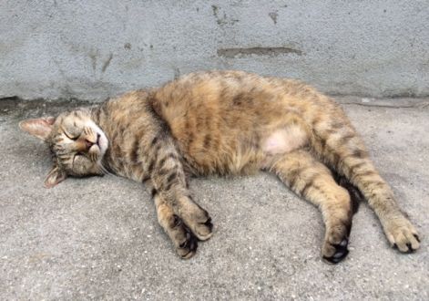 12月14日（月）今日の1コマ