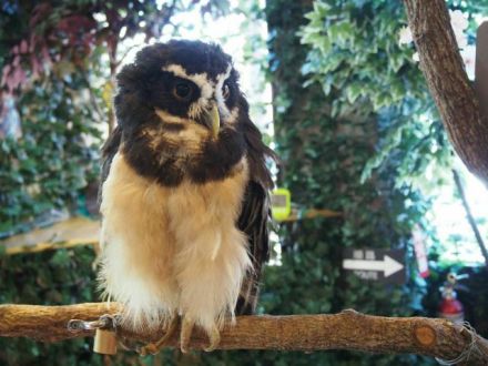 2月20日（月）  simple style