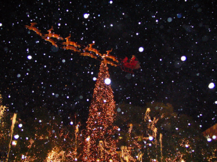 12月24日（水）オヒル ノオト