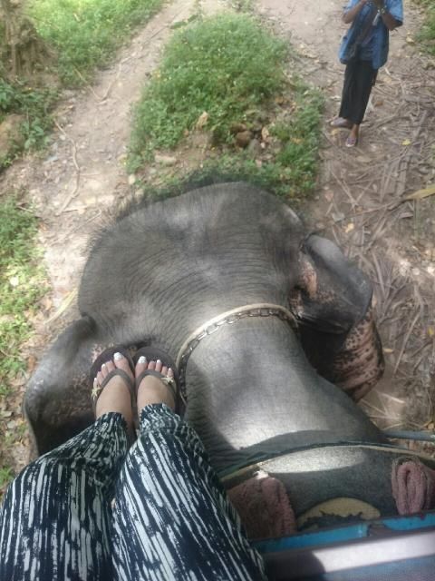 3月7日（水）今日の一コマ