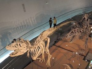 恐竜王国で、古代ロマンと出会う旅