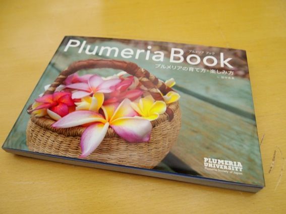 本日（7月10日）のプレゼント！！！