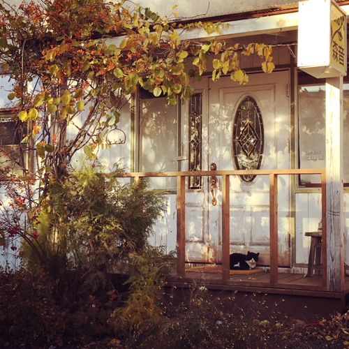 12月18日（火）今日のメニューは…