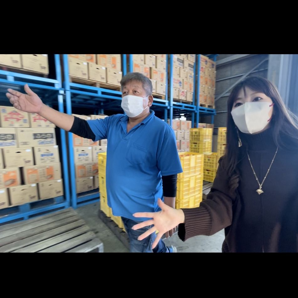 ハイテク技術と人力の融合による選別作業!! 富有柿の選果場へ 【CITROEN C5 X】（岐阜県本巣市・大熊青果、マル席の富有柿②）