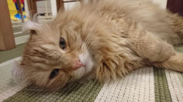 今日のメッセージテーマは「皆さん、修学旅行はどこへ行かれましたか！？」