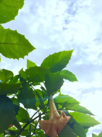 11月11日（水）今日の1コマ