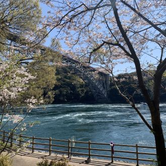 第４５回：西海橋公園の「うず潮」
