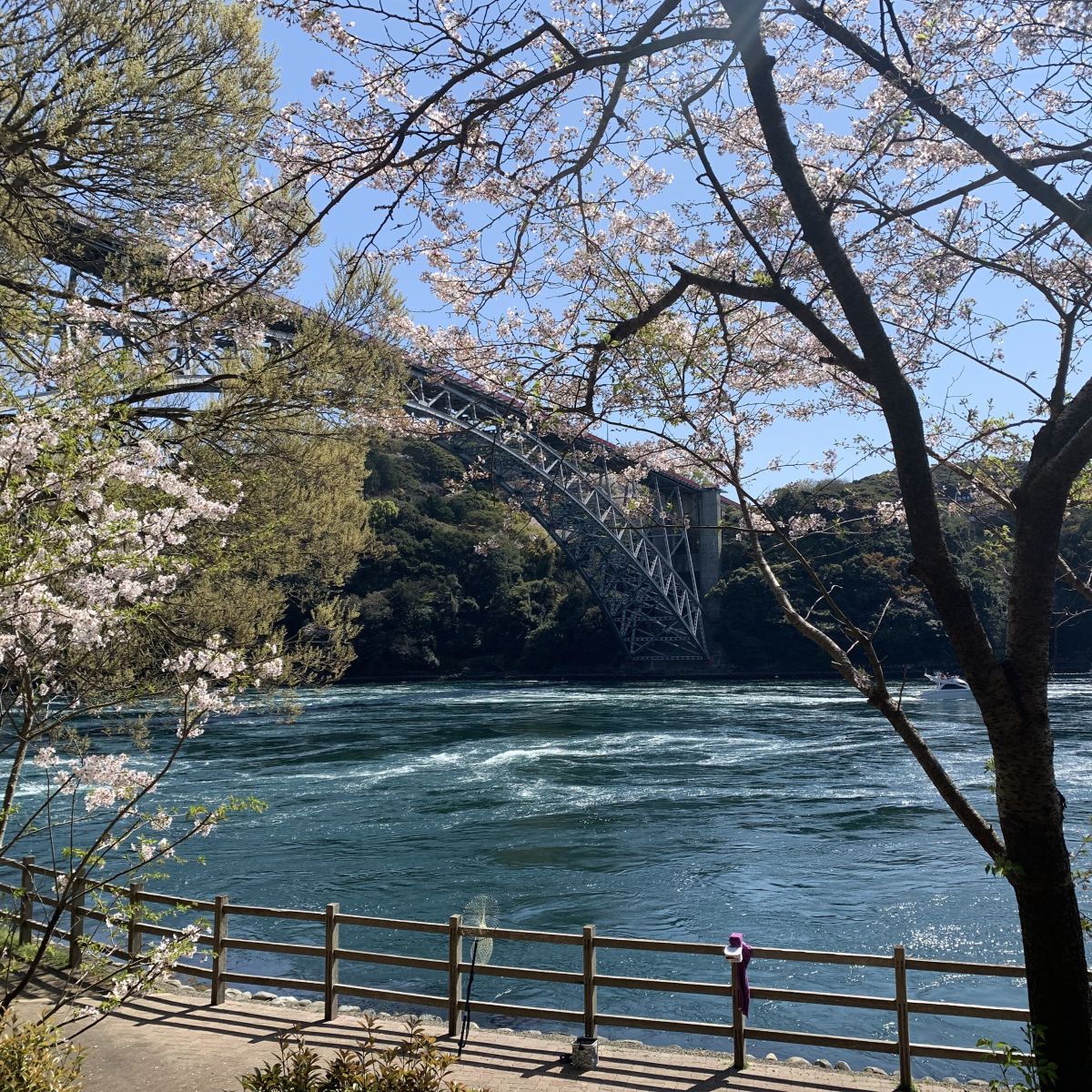 第４５回：西海橋公園の「うず潮」