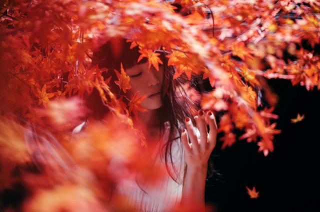 11月17日のプレイリストはAimer