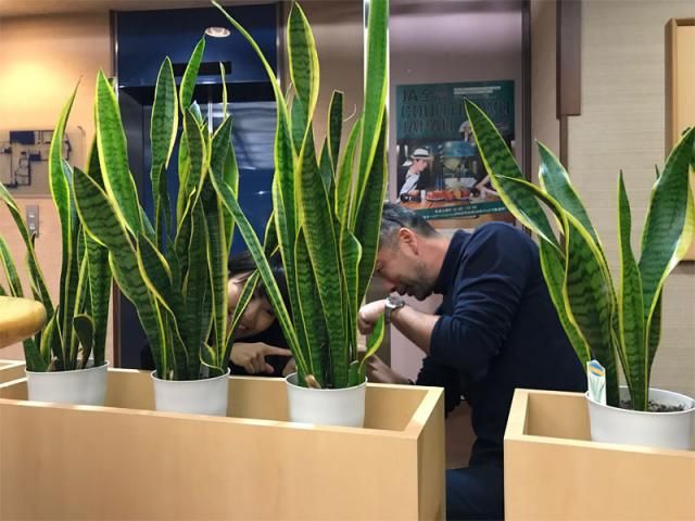 12月7日(木)のテーマは・・・