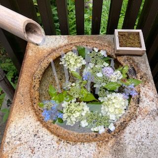 7月7日（水）今日の1コマ