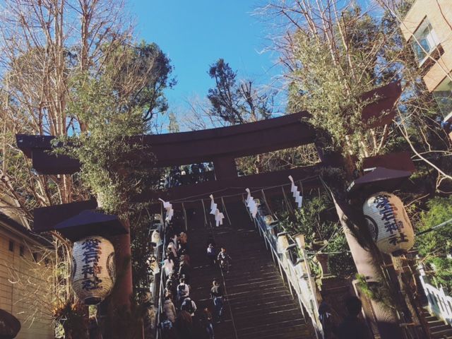 藤井悠のいただき！とりい！