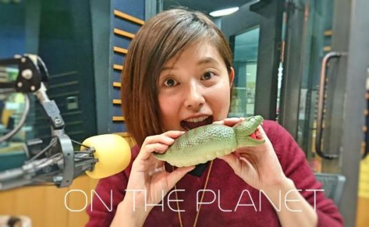 3月14日（木）担当：弥園綾奈