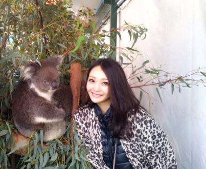 今日の1コマは「コアラとひととき」