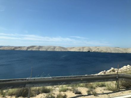 8月20日(火)今日の1コマ♪