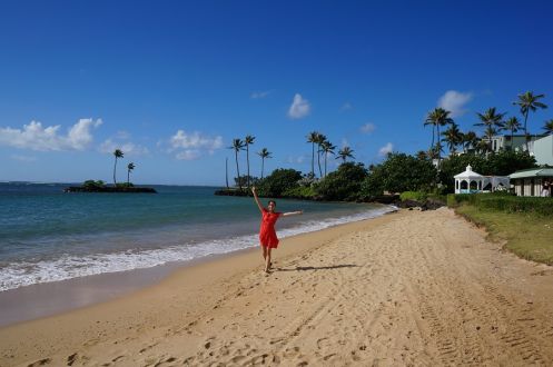 今日のFGOは！？