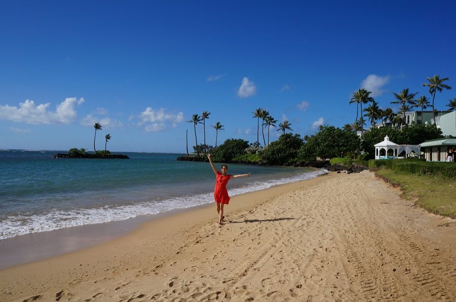 今日のFGOは！？