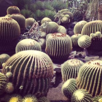 8月3日（月）今日の1コマ