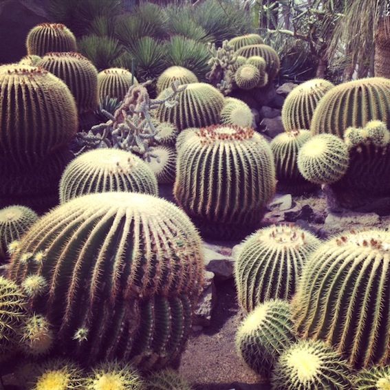 8月3日（月）今日の1コマ
